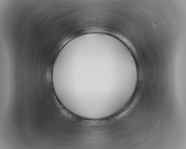 X0000112460905200909141056