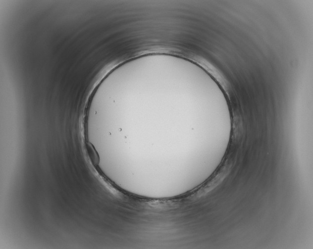 X0000112460906200909141056