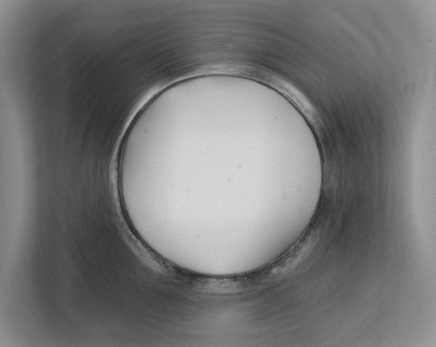 X0000112460907200909141056