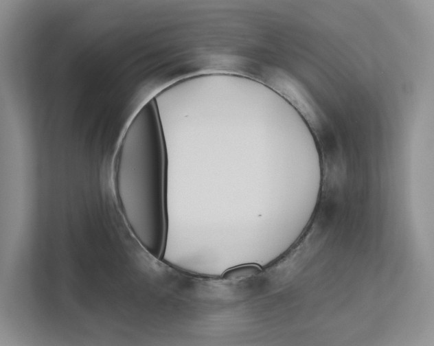 X0000112460908200909141056