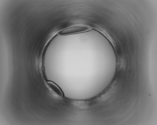 X0000112460909200909141055
