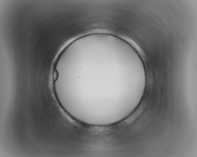 X0000112460910200909141055