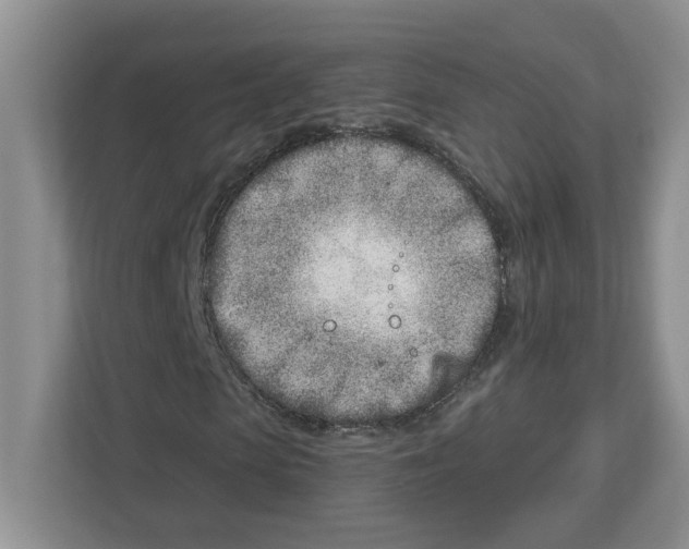 X0000112460913200909141055