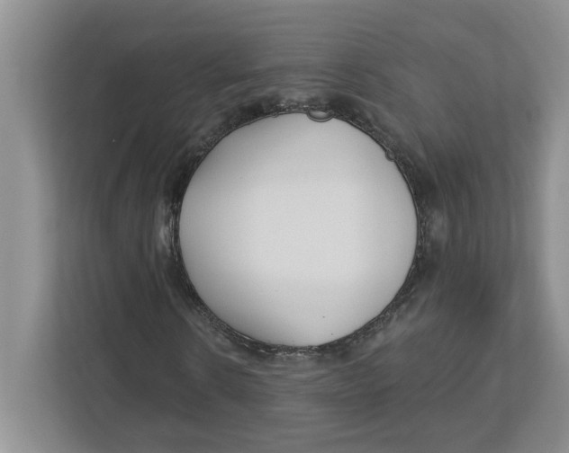 X0000112460914200909141055