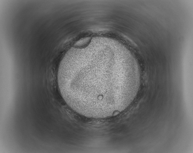 X0000112460917200909141055
