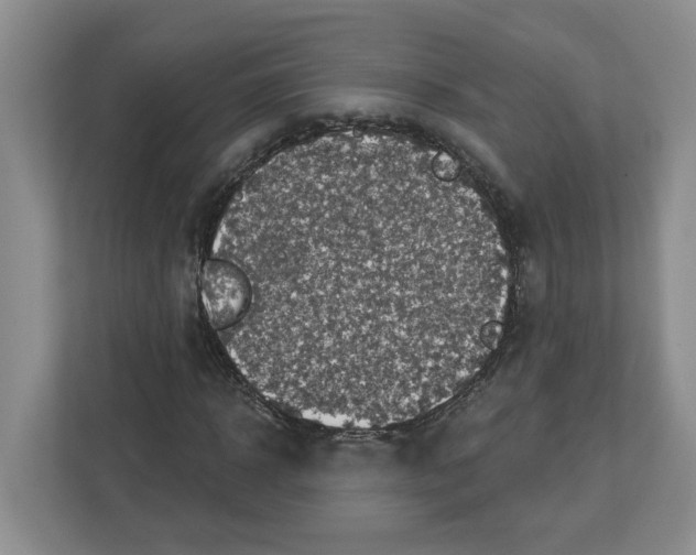 X0000112460918200909141055