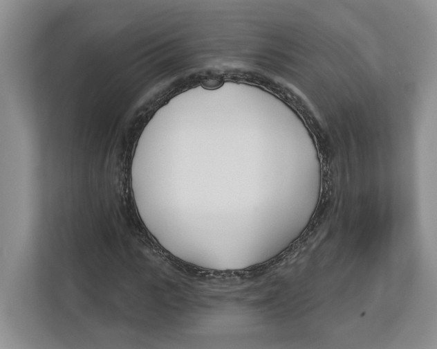 X0000112460919200909141055