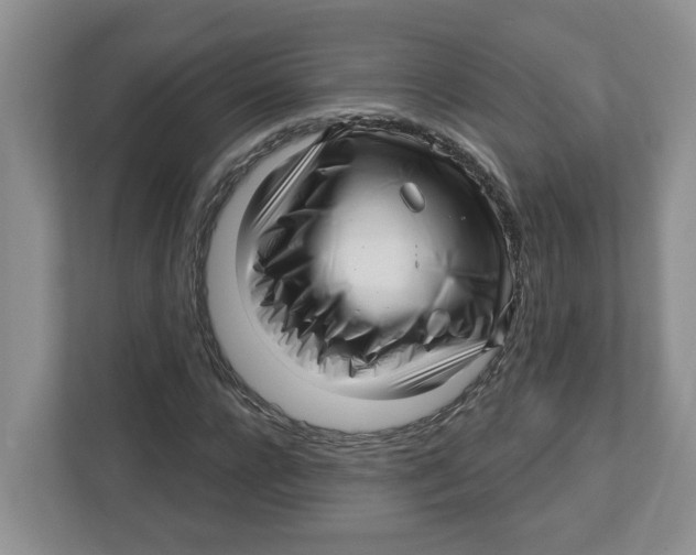 X0000112460920200909141055
