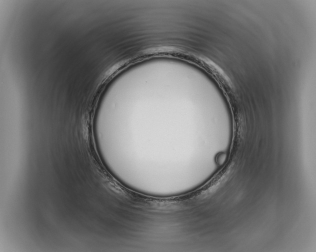 X0000112460921200909141055