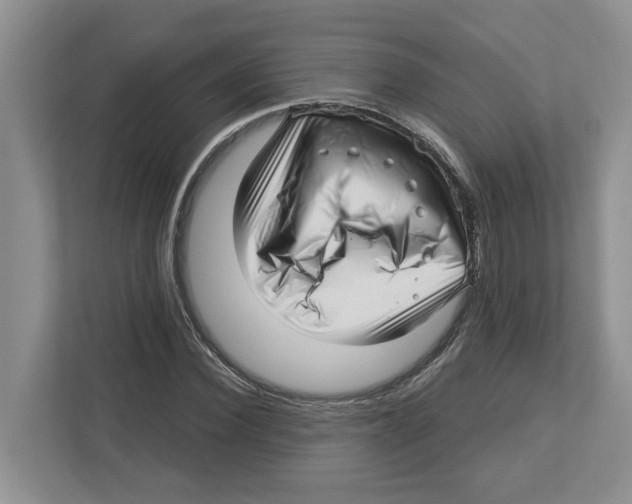 X0000112460924200909141055