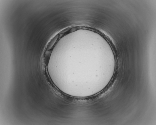 X0000112460925200909141055