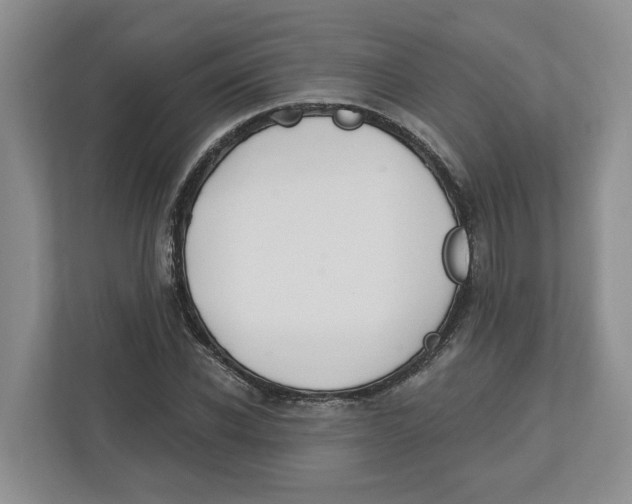 X0000112460926200909141055