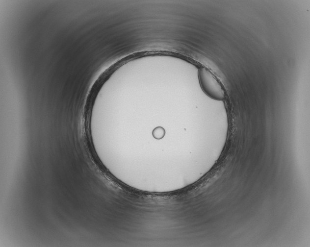 X0000112460928200909141055