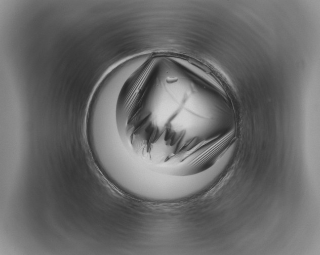 X0000112460932200909141055