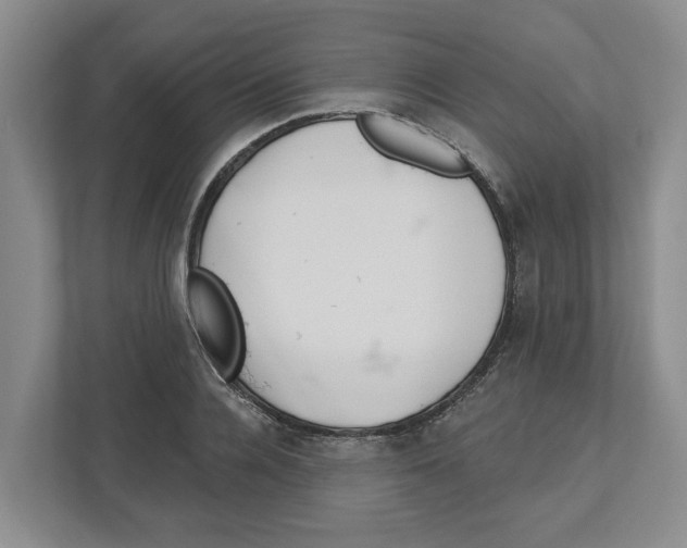X0000112460936200909141055