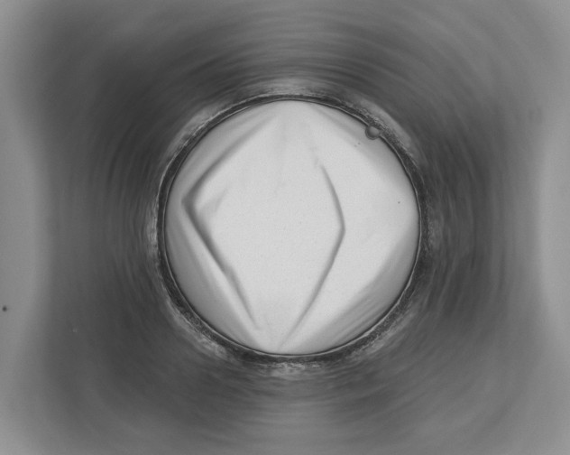 X0000112460938200909141055