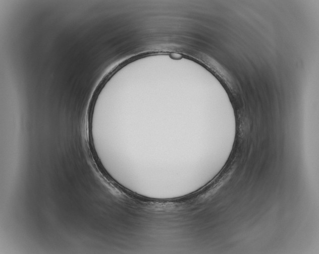 X0000112460940200909141055