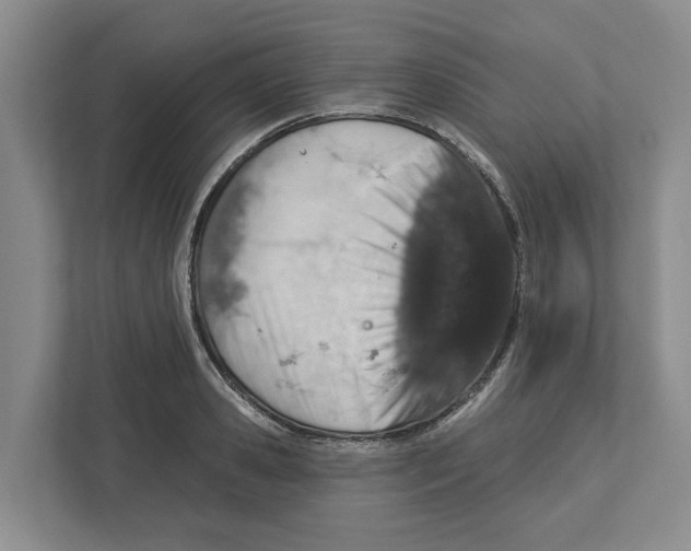 X0000112460941200909141055