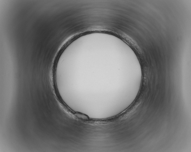 X0000112460942200909141055