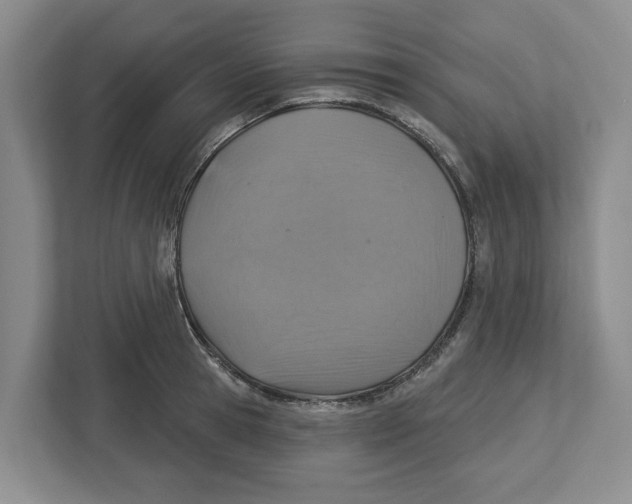 X0000112460945200909141055