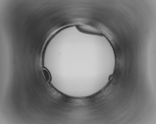 X0000112460948200909141055