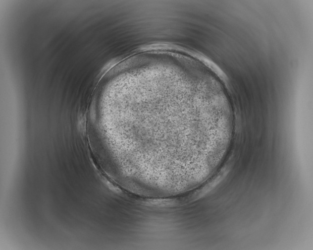 X0000112460953200909141055