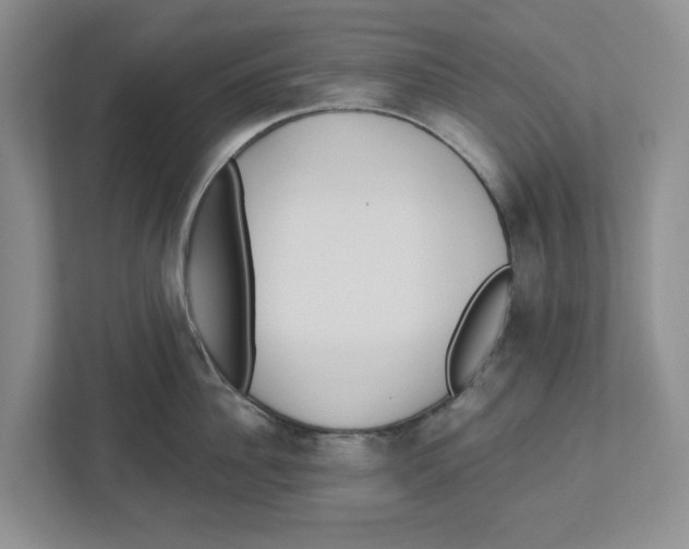 X0000112460956200909141055