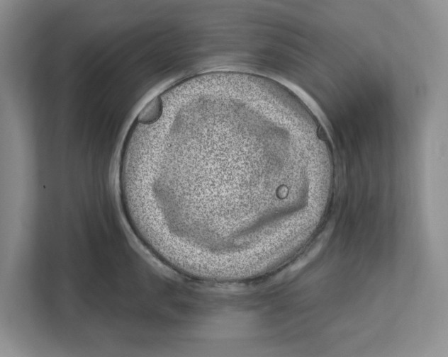 X0000112460957200909141055