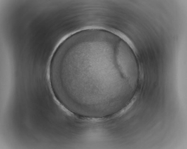 X0000112460958200909141055