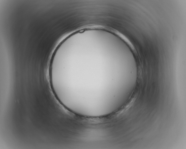 X0000112460959200909141055