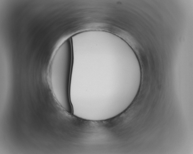 X0000112460960200909141055