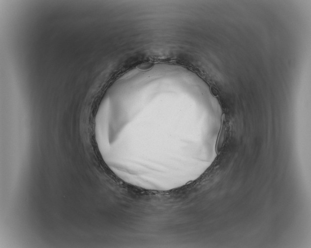X0000112460961200909141055