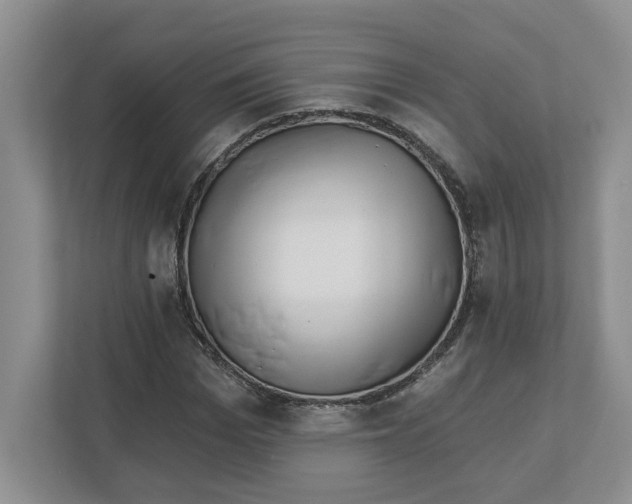 X0000112460969200909141055