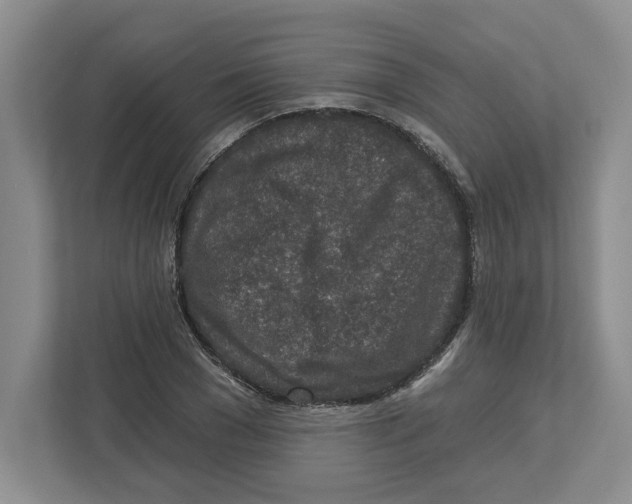 X0000112460977200909141055