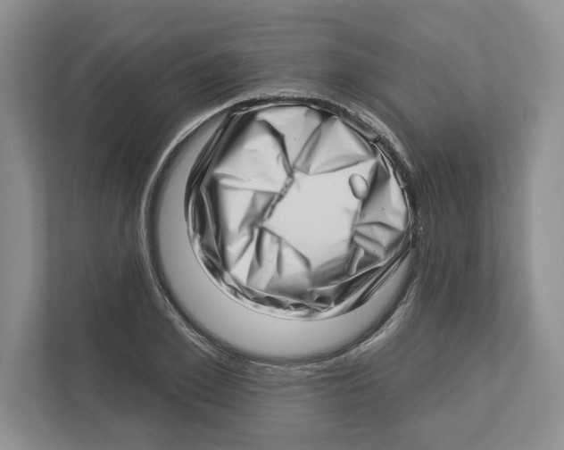 X0000112460981200909141055