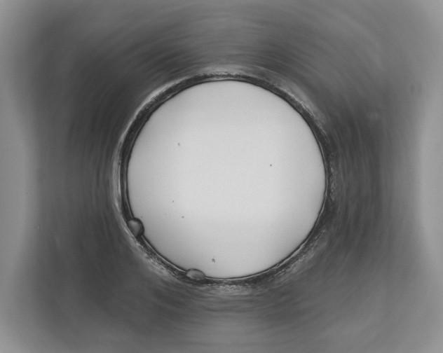 X0000112460984200909141055