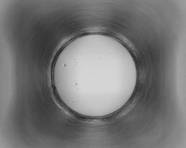 X0000112460986200909141054