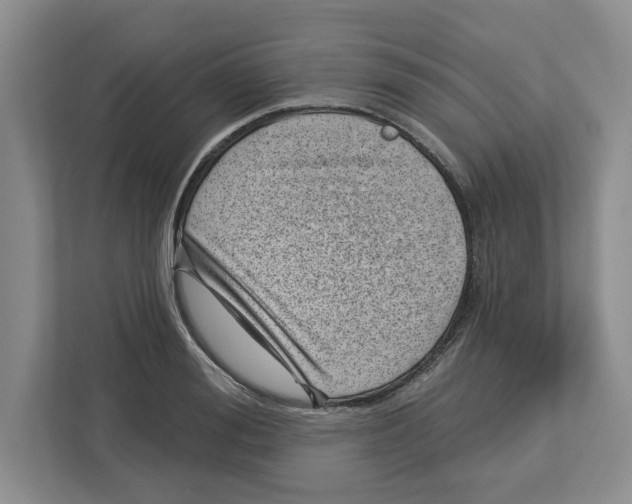X0000112460988200909141054