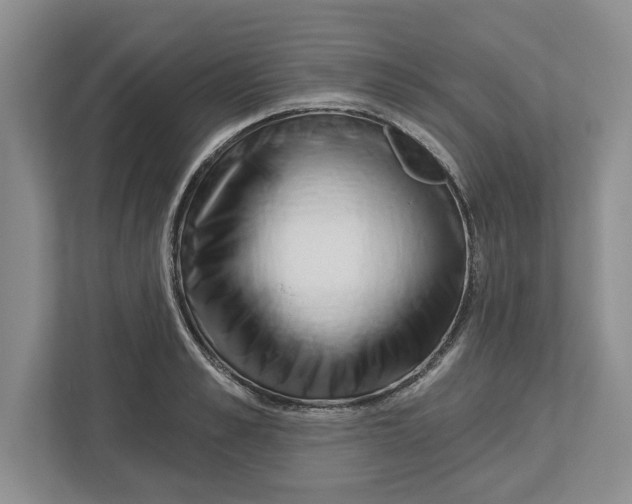 X0000112460989200909141054