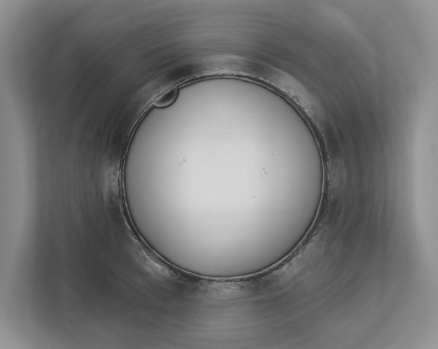 X0000112460993200909141054