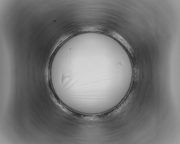X0000112460994200909141054