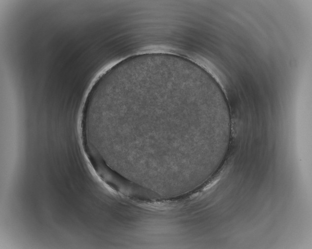 X0000112460995200909141054