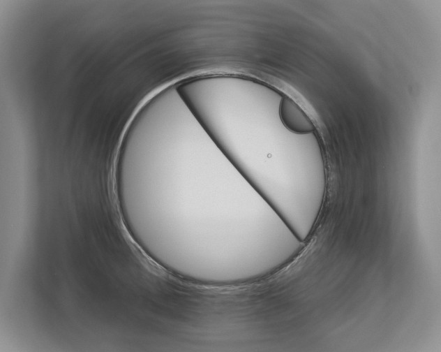 X0000112460996200909141054