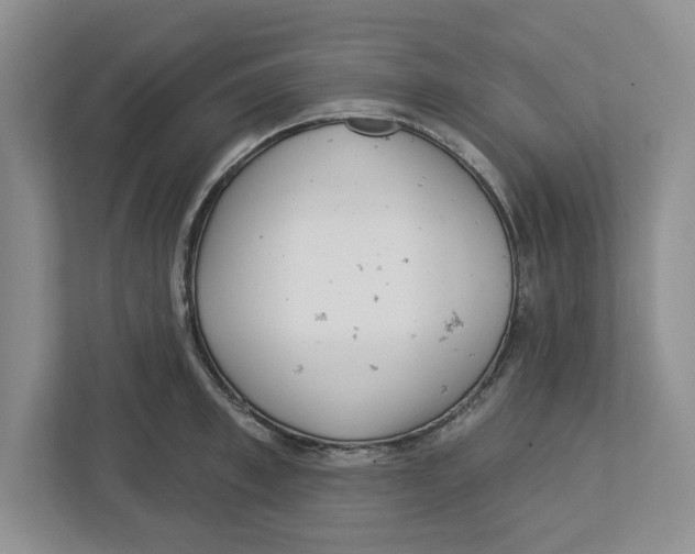 X0000112460997200909141054