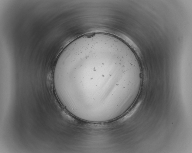X0000112461001200909141054