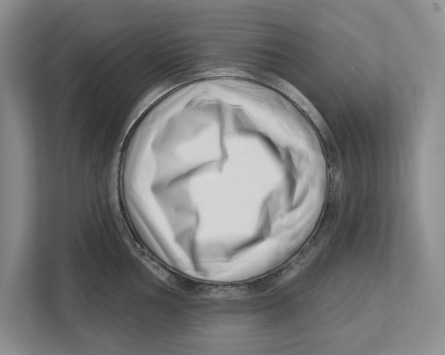 X0000112461002200909141054