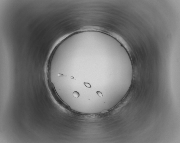 X0000112461003200909141054
