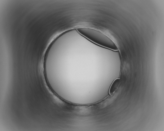 X0000112461005200909141054