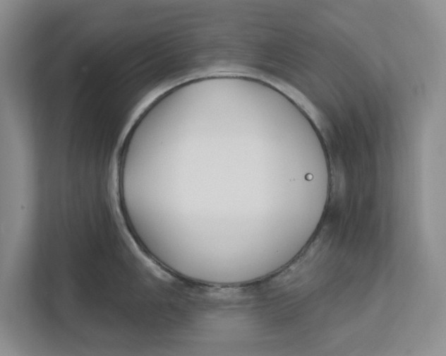 X0000112461006200909141054