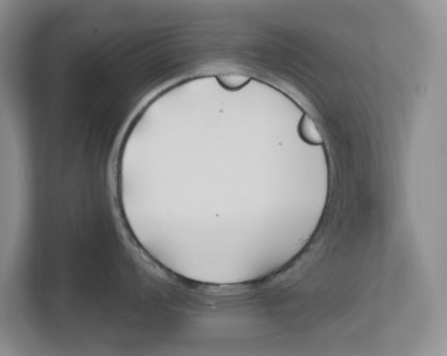 X0000112461008200909141054